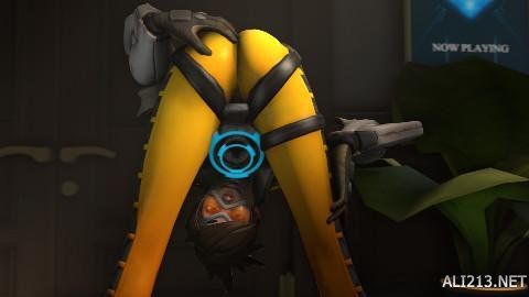 看见了生命 看见了生命