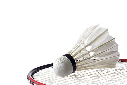 意义上的顶 意义上的顶