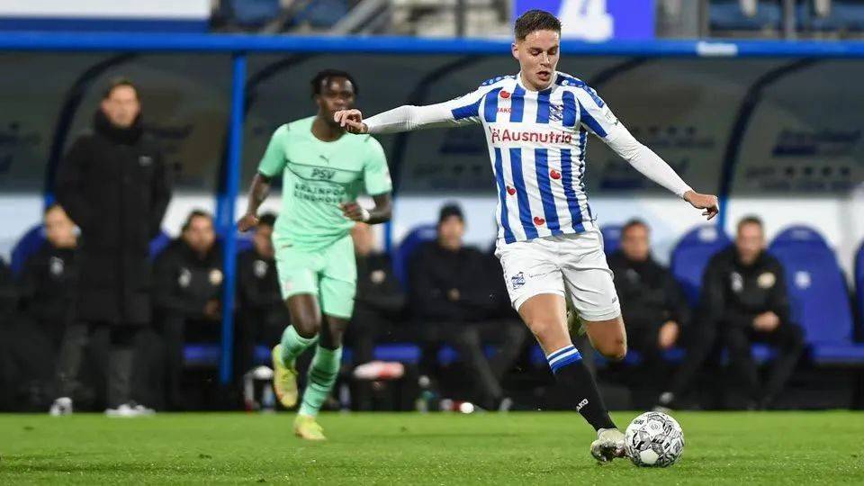 夏洛特黄蜂 夏洛特黄蜂