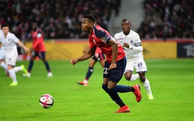 祥物有何特 祥物有何特