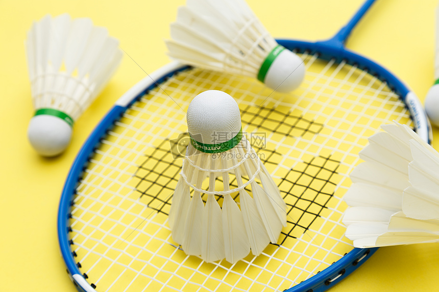 哈兰德暂居 哈兰德暂居