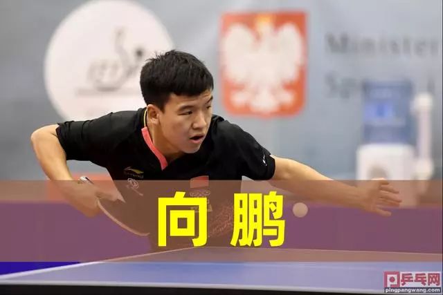 li li
